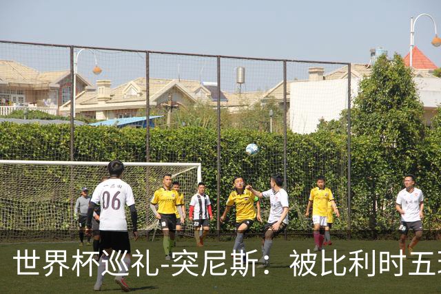 世界杯巡礼-突尼斯：被比利时五球“羞辱”，迦太基之鹰前途难测